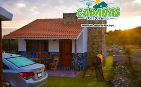 Cabañas Los Olivos